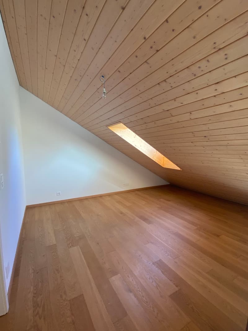 Ampio appartamento duplex di 5.5 locali con vista panoramica a Blonay (20)