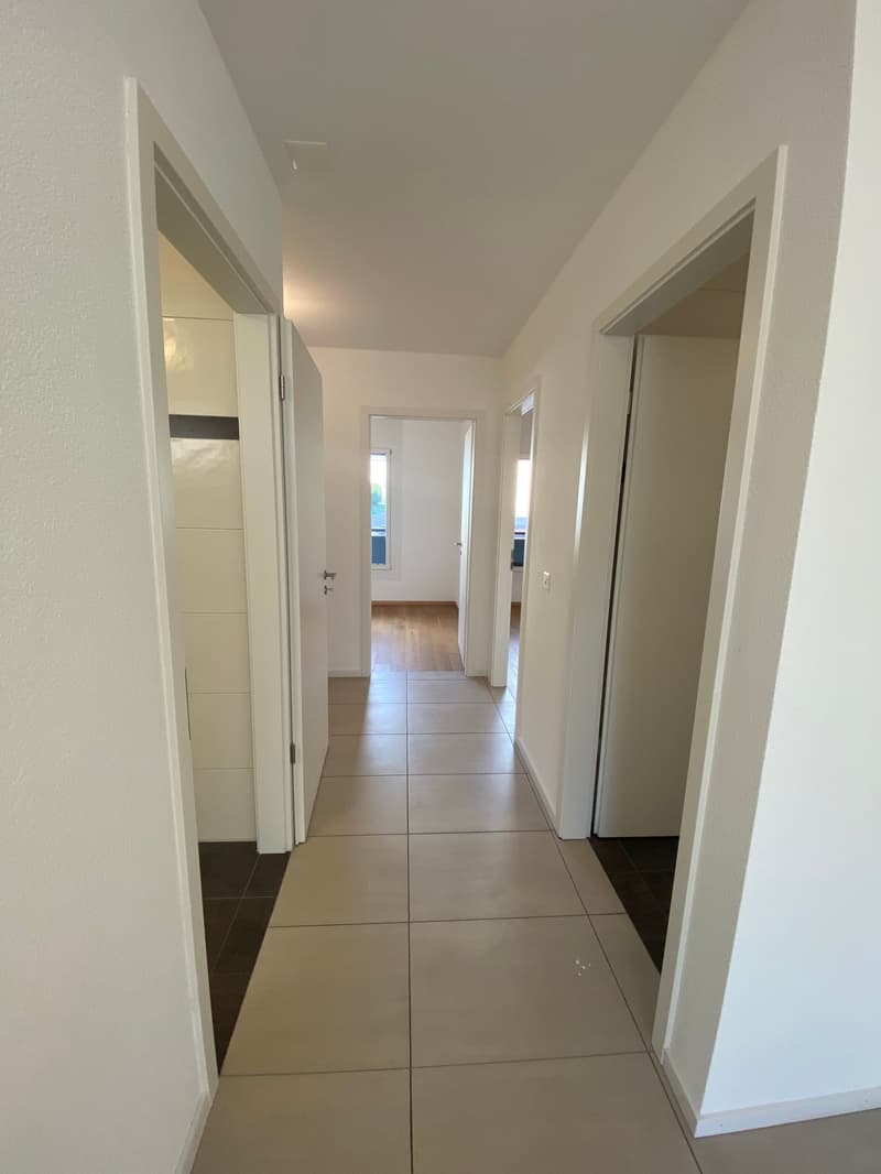 Ampio appartamento duplex di 5.5 locali con vista panoramica a Blonay (9)