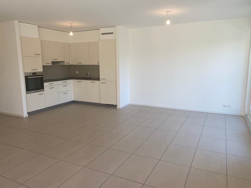 Ampio appartamento duplex di 5.5 locali con vista panoramica a Blonay (3)