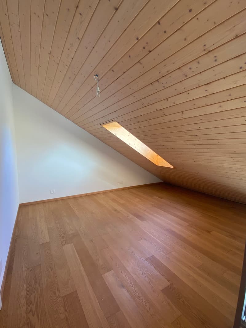 Ampio appartamento duplex di 5.5 locali con vista panoramica a Blonay (19)