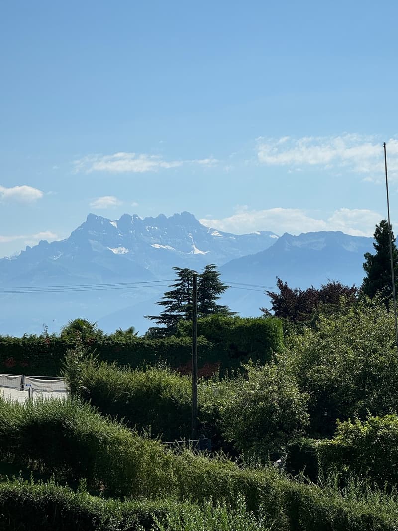 Ampio appartamento duplex di 5.5 locali con vista panoramica a Blonay (28)