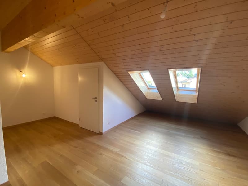 Ampio appartamento duplex di 5.5 locali con vista panoramica a Blonay (23)
