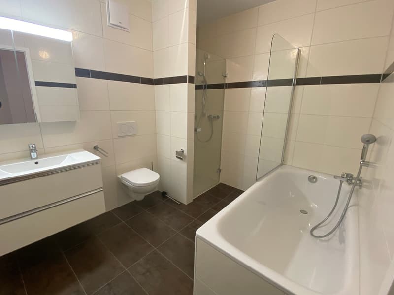 Ampio appartamento duplex di 5.5 locali con vista panoramica a Blonay (6)