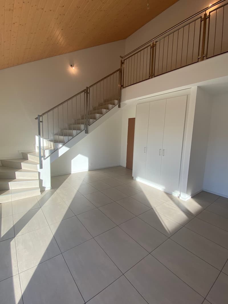 Ampio appartamento duplex di 5.5 locali con vista panoramica a Blonay (4)
