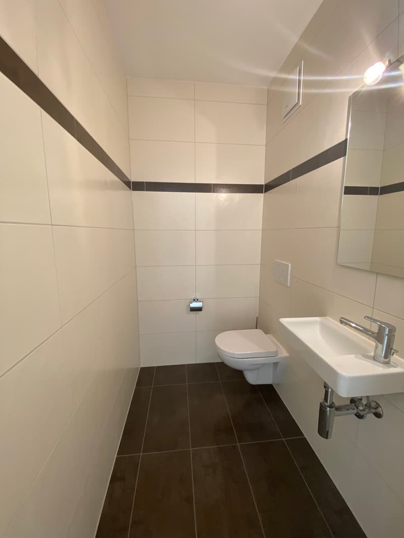 Ampio appartamento duplex di 5.5 locali con vista panoramica a Blonay (25)