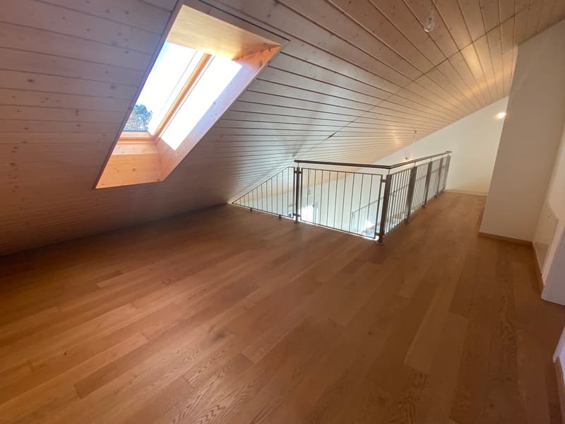 Ampio appartamento duplex di 5.5 locali con vista panoramica a Blonay (21)