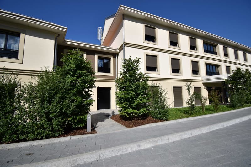 Ampio appartamento duplex di 5.5 locali con vista panoramica a Blonay (1)