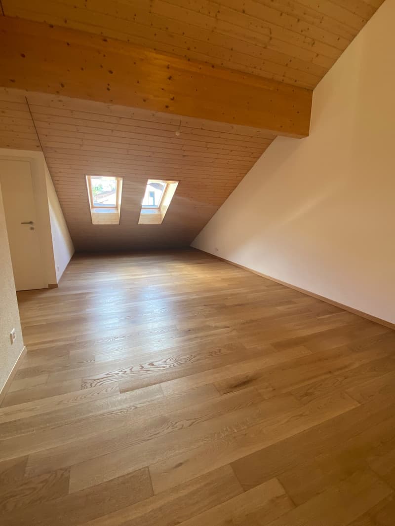 Ampio appartamento duplex di 5.5 locali con vista panoramica a Blonay (22)