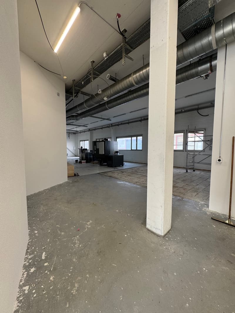 Refreshed surface for rent in the Moulin du Choc industrial area (4)