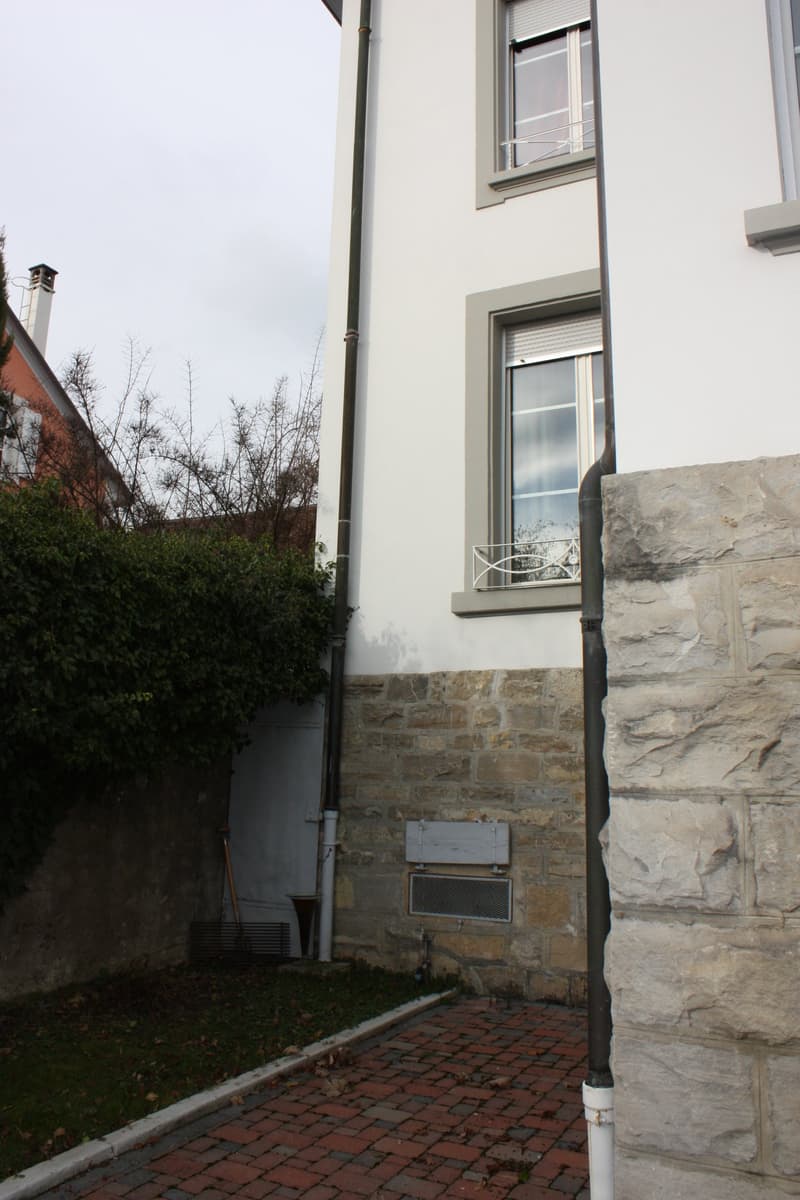 Majestic 12-room villa in Morges – with large private garden (43)