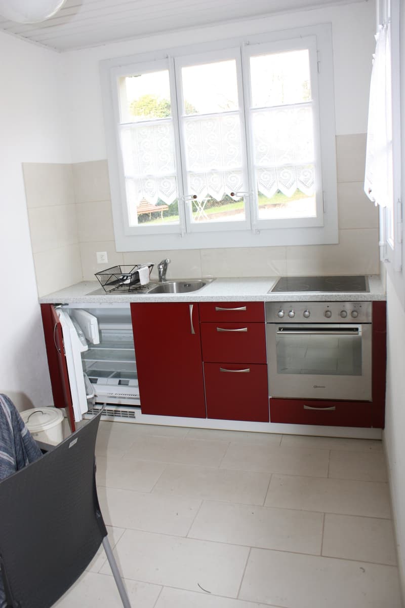 Majestic 12-room villa in Morges – with large private garden (41)