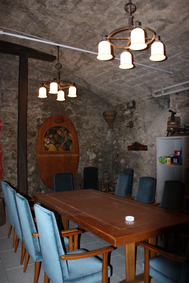 Majestic 12-room villa in Morges – with large private garden (45)