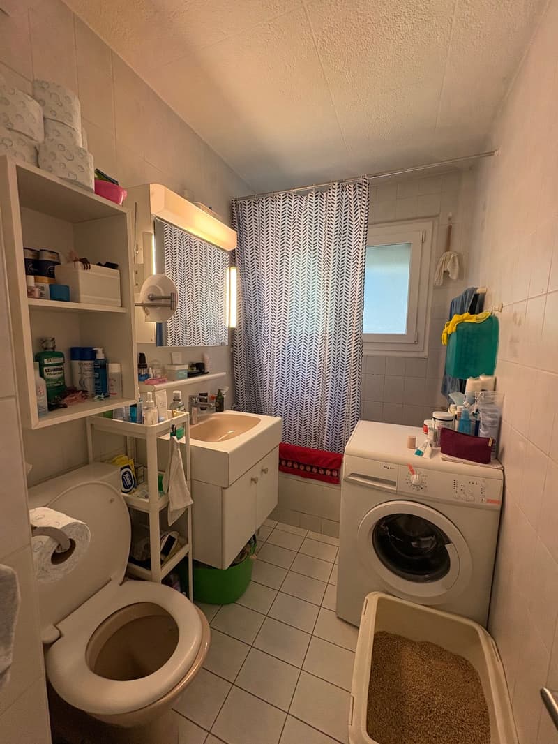 Appartement de 2 pièces à Saint-Sulpice, proche du lac - BAIL A DUREE DETERMINEE (4)