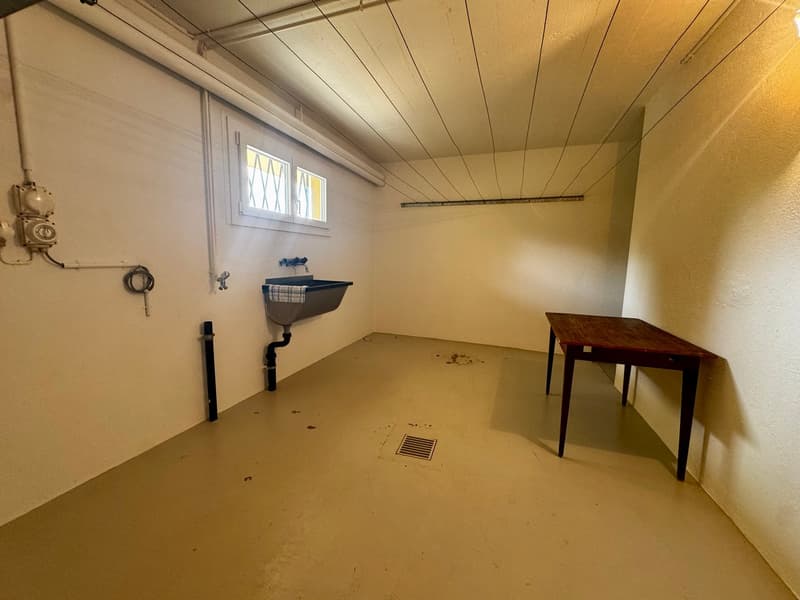 Superbe maison de caractère avec un appartement indépendant (28)