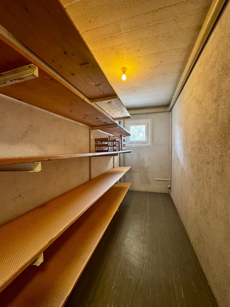 Superbe maison de caractère avec un appartement indépendant (30)