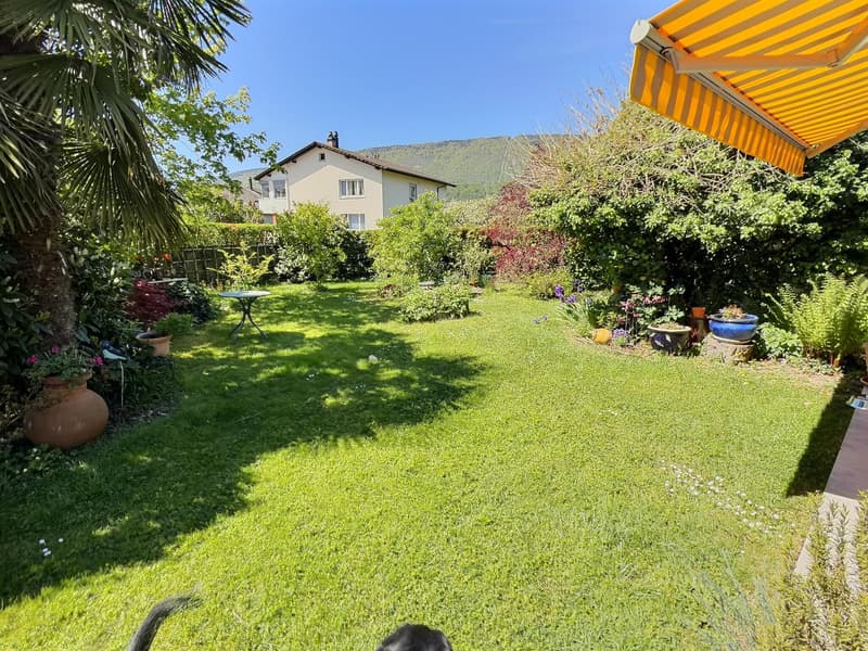 Architect's house in viager occupied without rent (1)