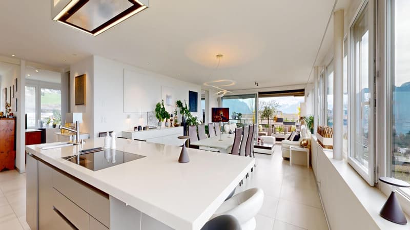 Magnificent apartment in lump sum occupied without rent limited to 5 years (8)