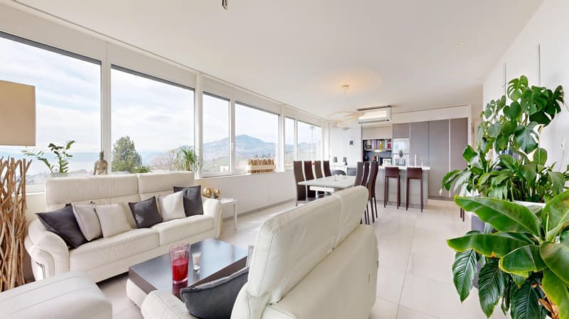 Magnificent apartment in lump sum occupied without rent limited to 5 years (3)