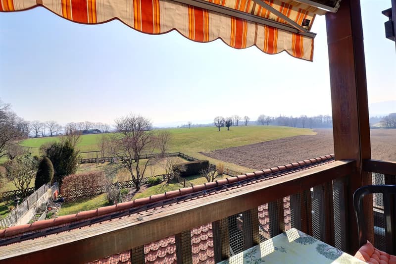 Magnificent attic duplex in viager, occupied without rent (1)