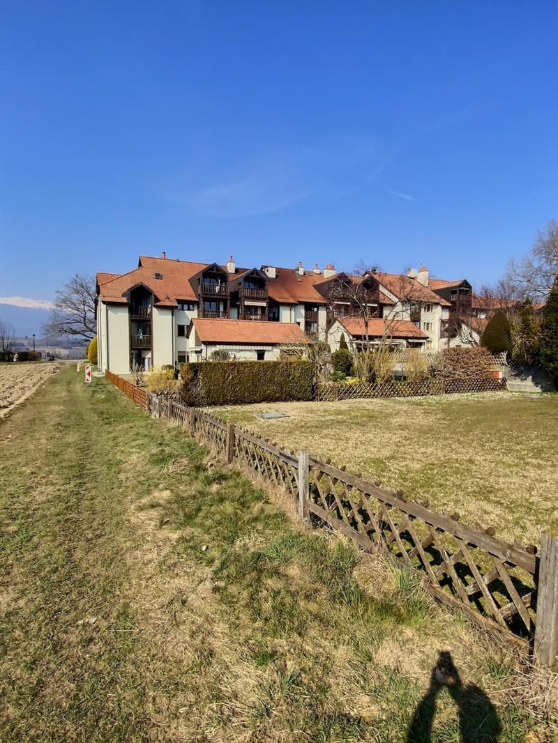 Magnificent attic duplex in viager, occupied without rent (4)