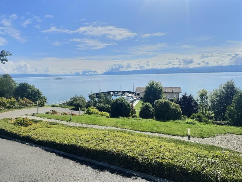 EXCEPTIONAL PROPERTY!! Large apartment for life, occupied without rent. Lake and private port view. (5)