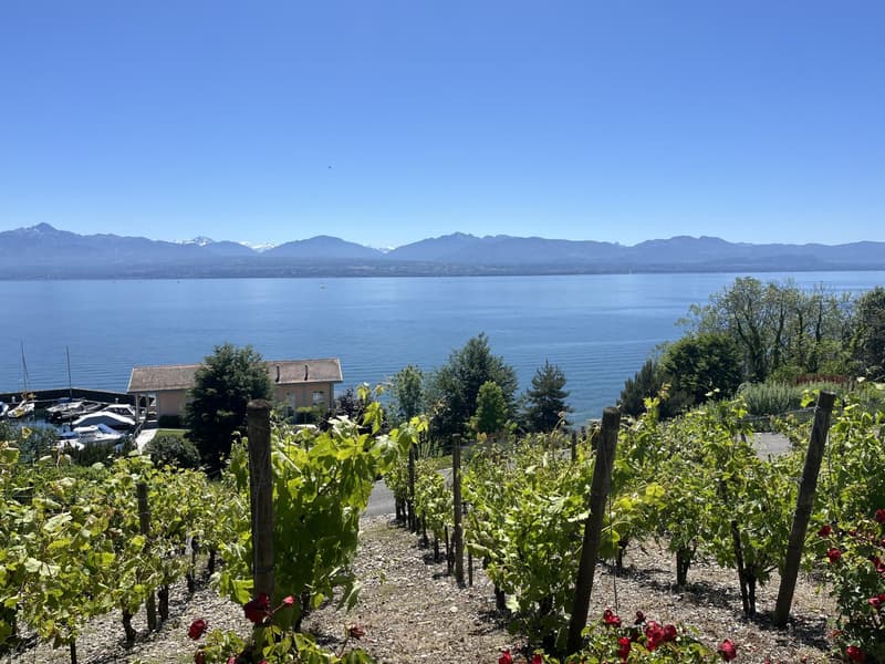 EXCEPTIONAL PROPERTY!! Large apartment for life, occupied without rent. Lake and private port view. (1)