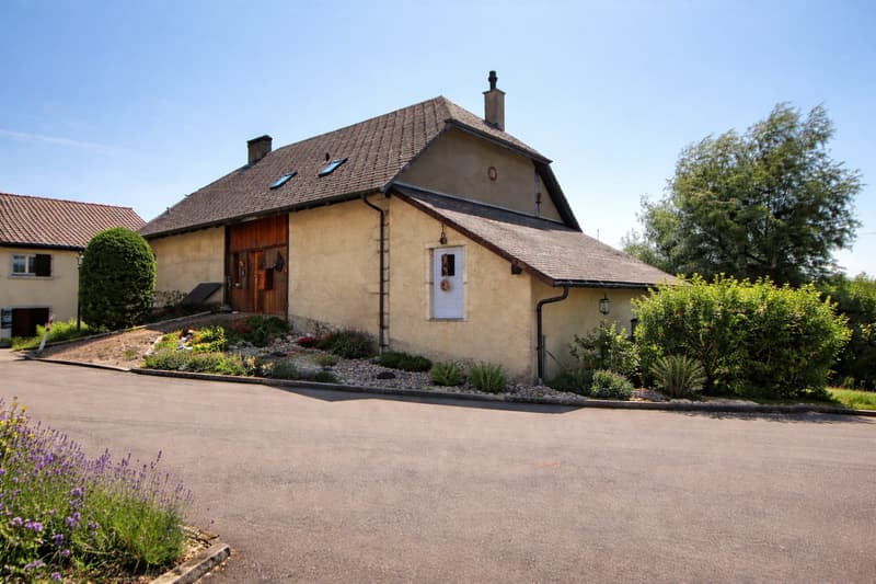 Jolie maison en viager occupé sans rente (4)