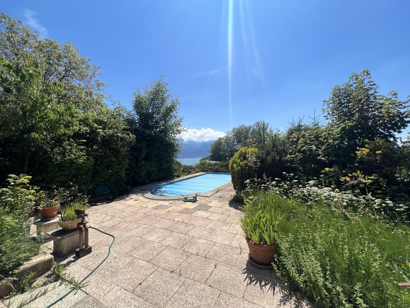 Beautiful individual house with lake view in viager occupied without rent (11)