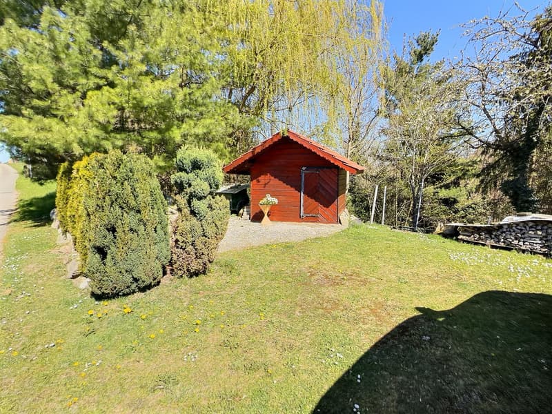 House in viager occupied without rent (13)