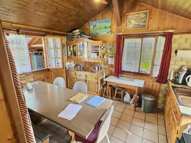 House in viager occupied without rent (12)