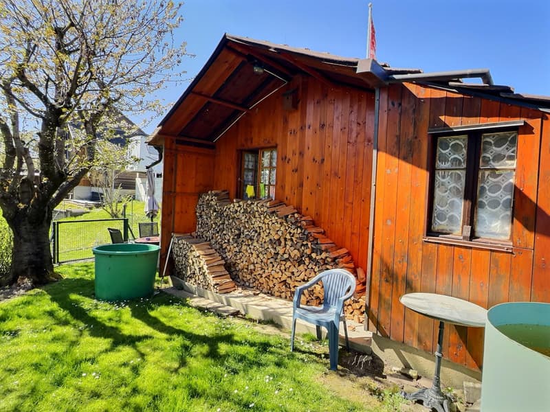 House in viager occupied without rent (8)