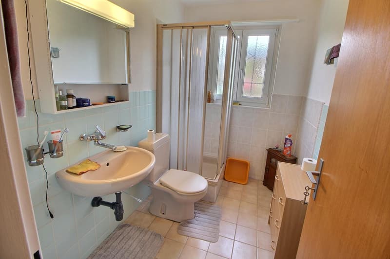 Beautiful and large house in viager occupied without rent. (9)