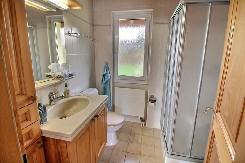 Beautiful and large house in viager occupied without rent. (8)