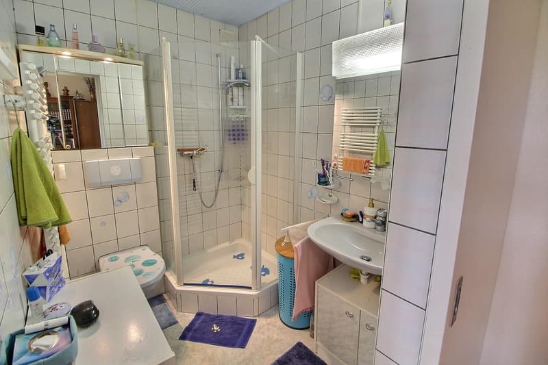 Large family house in viager with occupied use without rent, limited to 5 years (9)