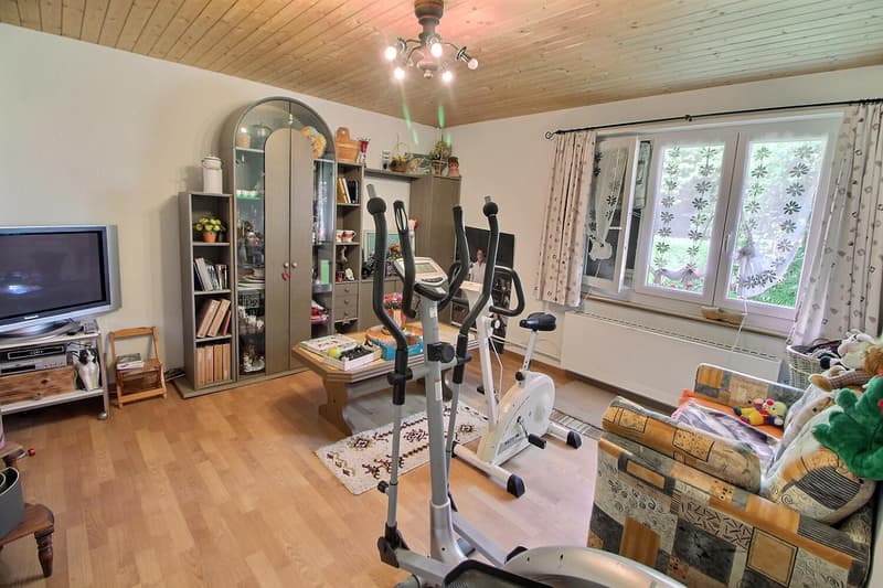 Large family house in viager with occupied use without rent, limited to 5 years (5)