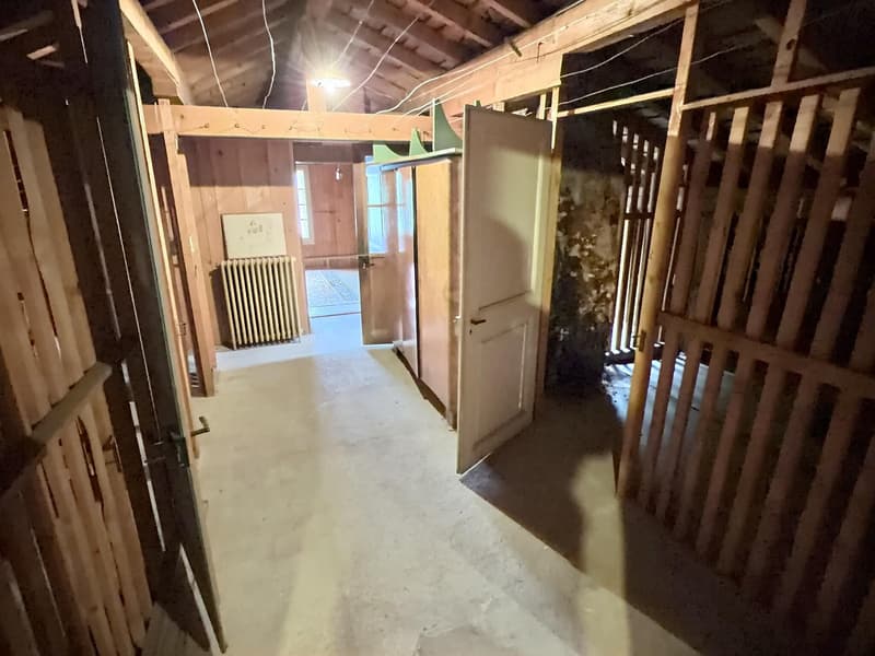 Prächtige Wohnung im Alter mit Potential für Erweiterung und ohne Rente (8)