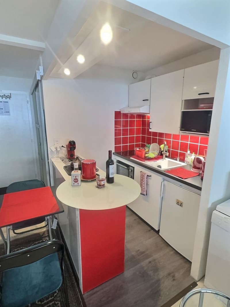 Super Studio mit privatem Garten in Viager besetzt ohne Rentenbegrenzung auf 5 Jahre (5)