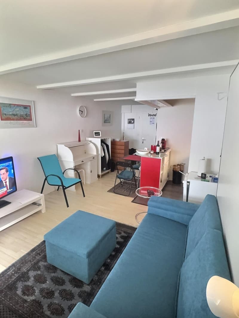 Super Studio mit privatem Garten in Viager besetzt ohne Rentenbegrenzung auf 5 Jahre (3)