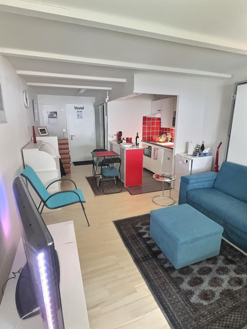 Super Studio mit privatem Garten in Viager besetzt ohne Rentenbegrenzung auf 5 Jahre (2)