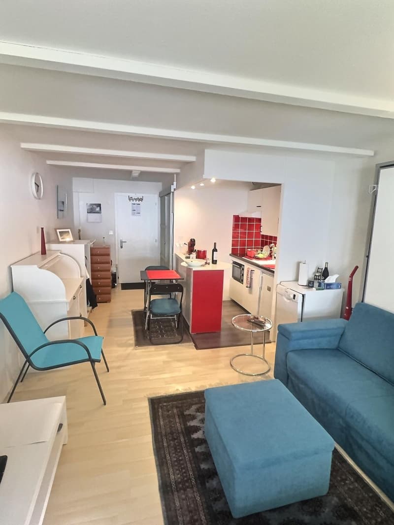 Super Studio mit privatem Garten in Viager besetzt ohne Rentenbegrenzung auf 5 Jahre (11)
