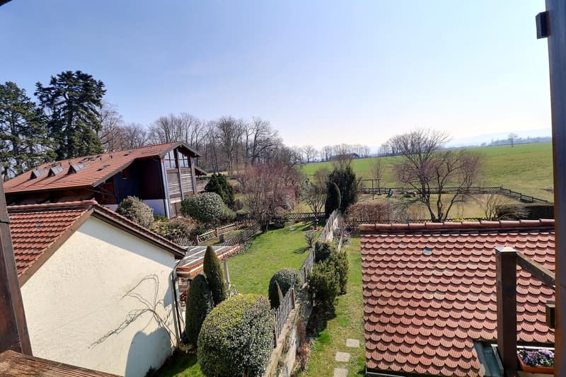 Magnificent attic duplex in viager, occupied without rent (3)