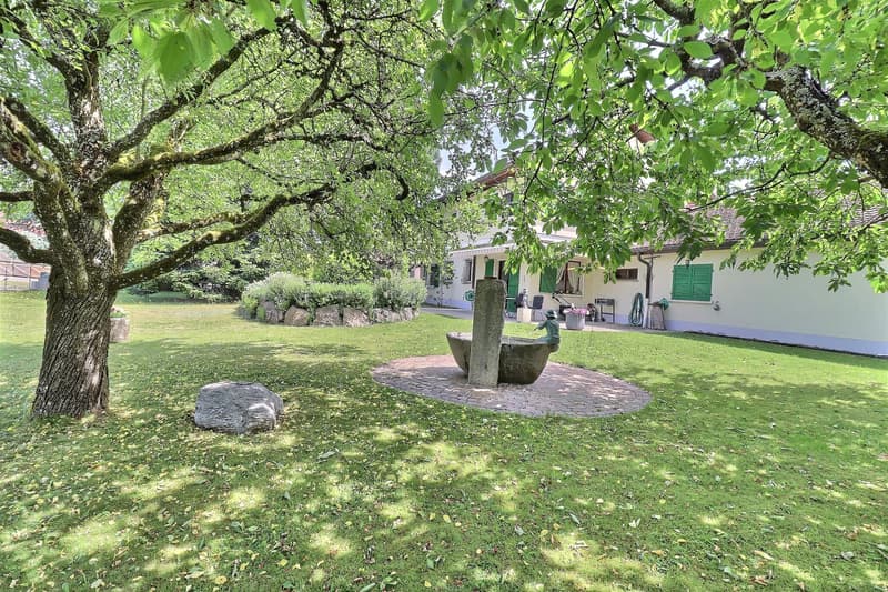 Beautiful single-family house in viager occupied without rent with a view of the Jura (4)
