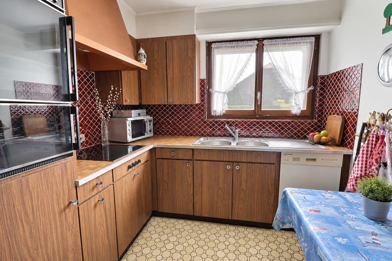 Beautiful single-family house in viager occupied without rent with a view of the Jura (13)