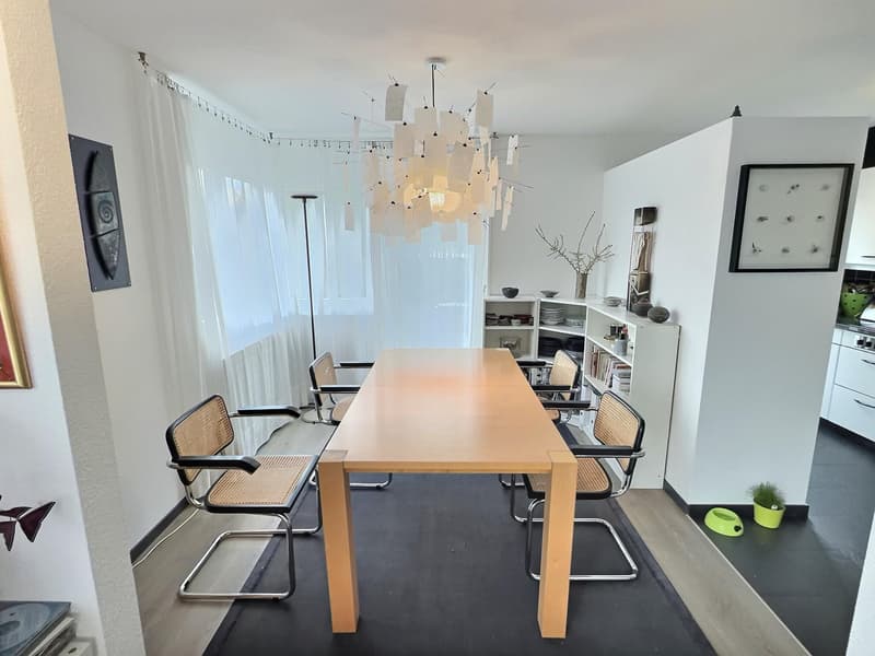 Two magnificent apartments in semi-occupied viager without rent with return (8)
