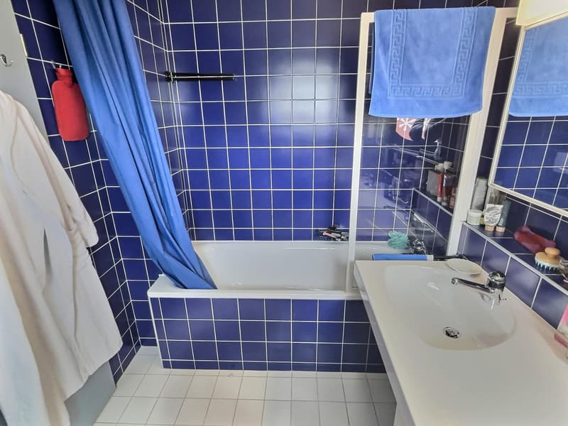 Two magnificent apartments in semi-occupied viager without rent with return (12)