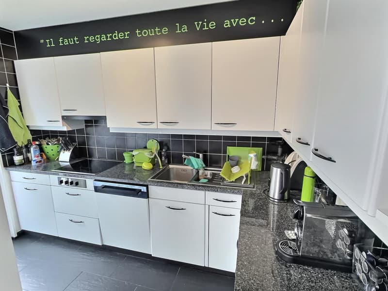 Two magnificent apartments in semi-occupied viager without rent with return (2)