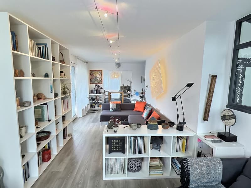 Two magnificent apartments in semi-occupied viager without rent with return (7)