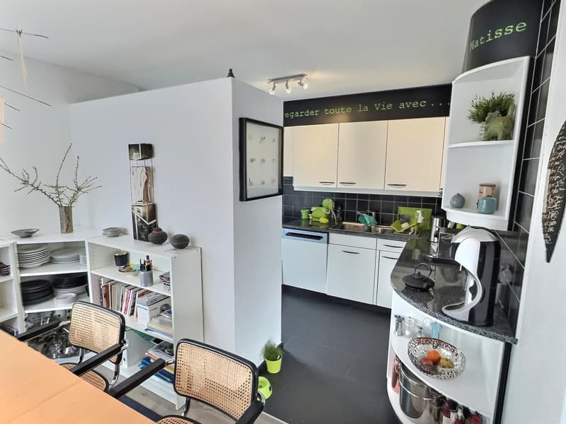 Two magnificent apartments in semi-occupied viager without rent with return (1)