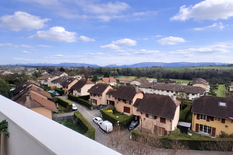 Superbe Attique en viager occupé avec rente (4)