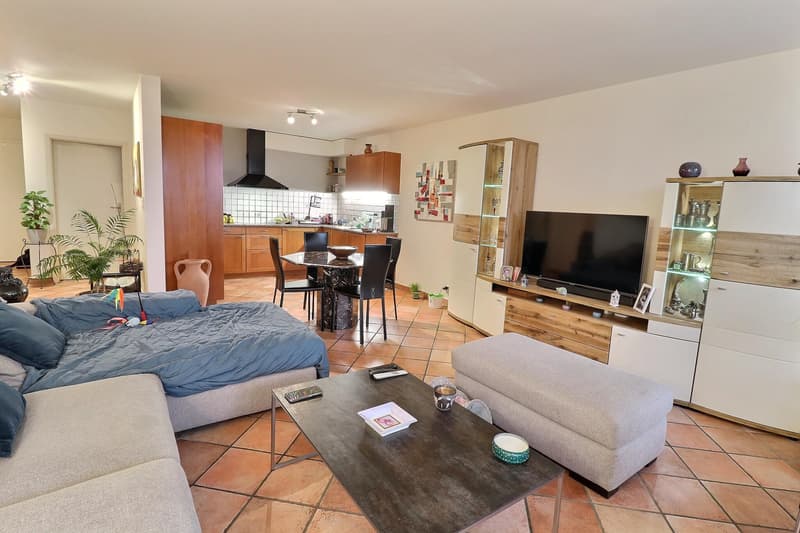 Superbe appartement en viager occupé sans rente avec piscine et vue Lac (13)